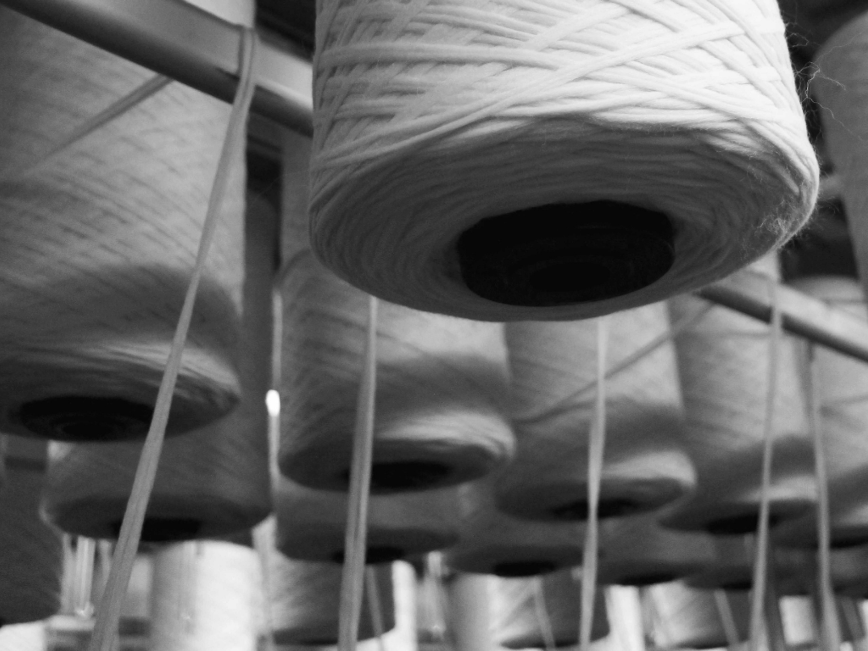 Aclima ull spinning
