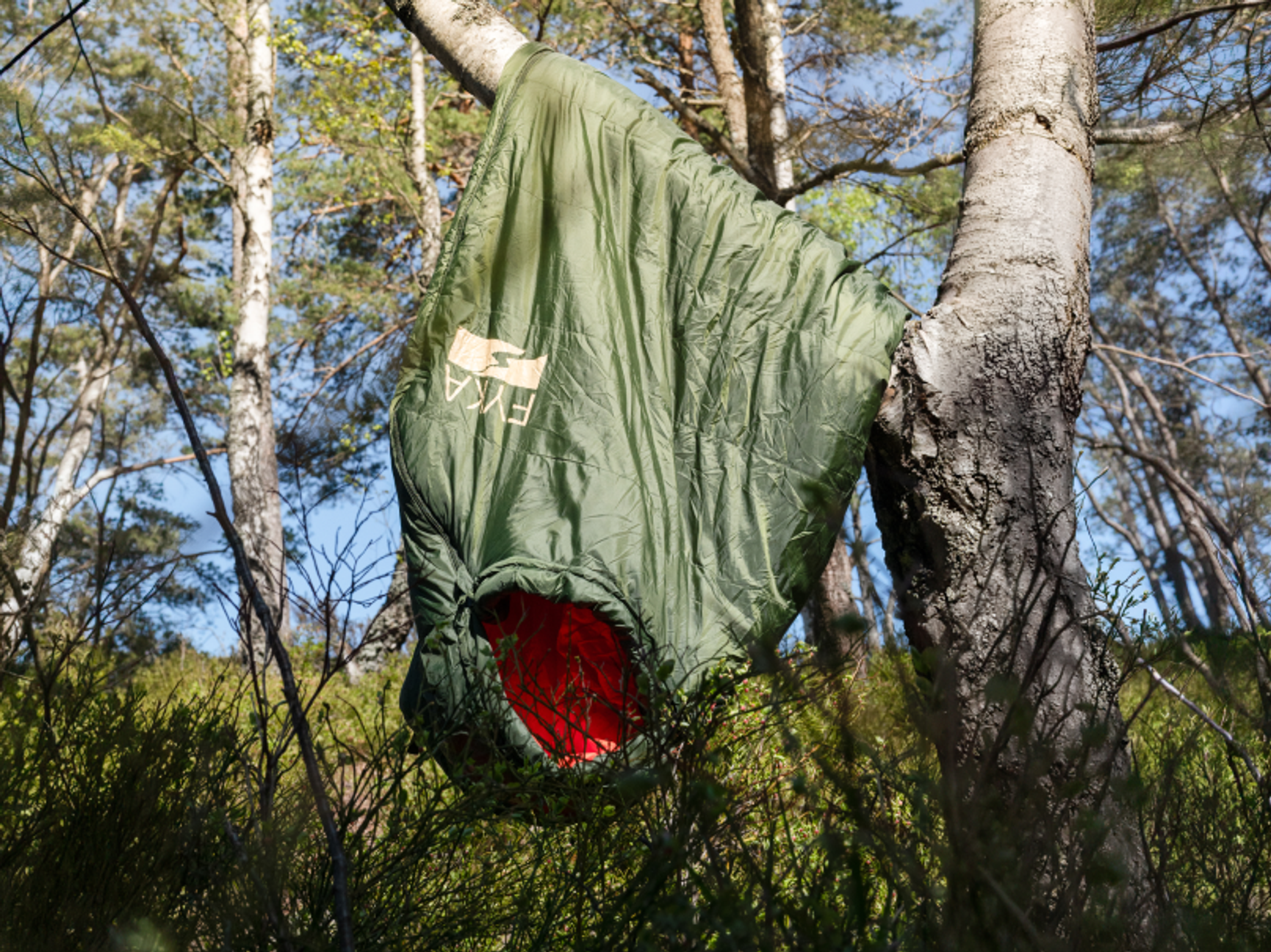 makuupussi puussa