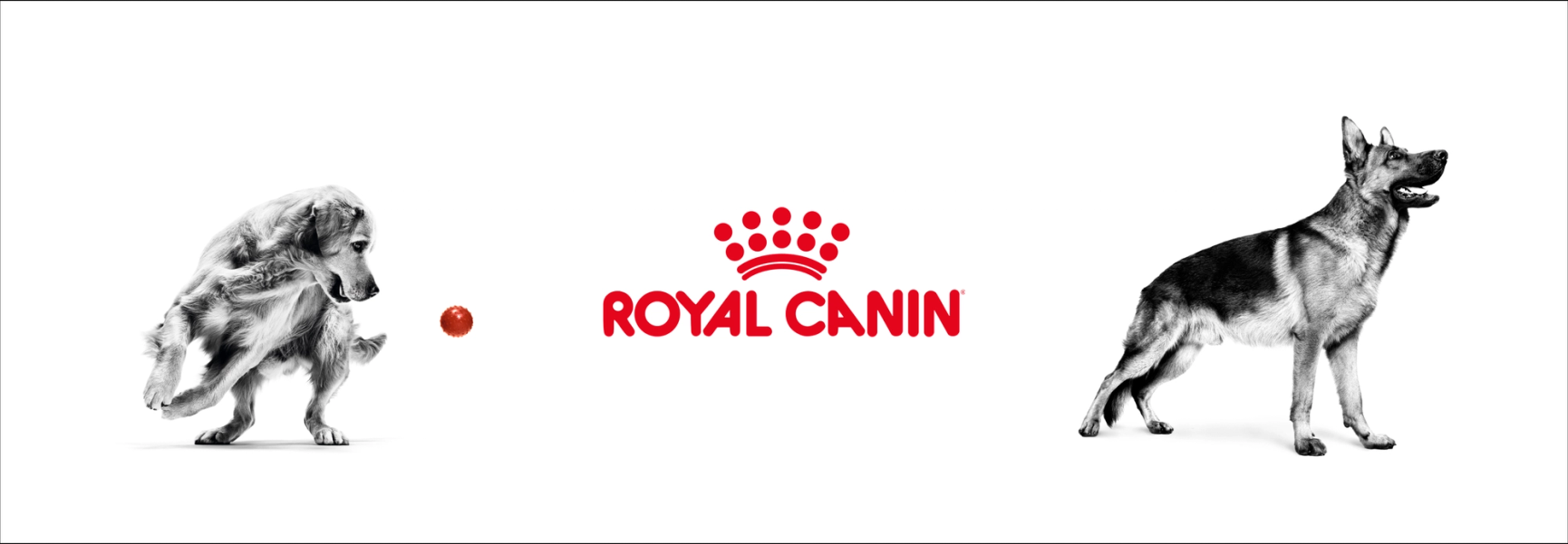 Royal Canin