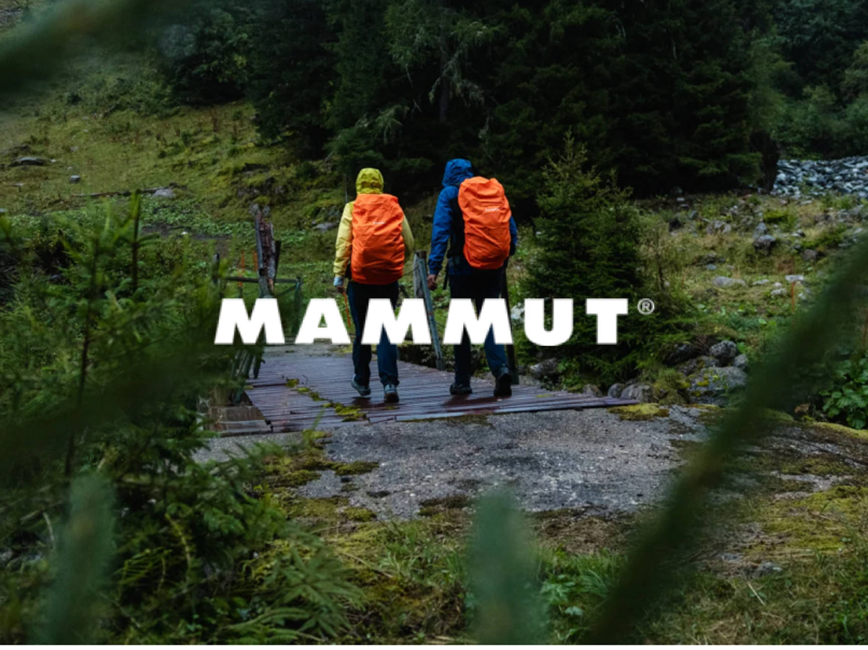 Mammut