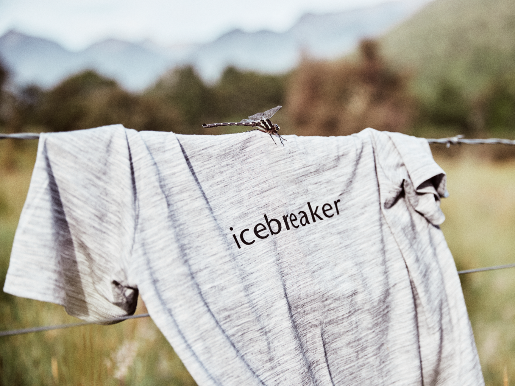 Icebreaker T-shirt