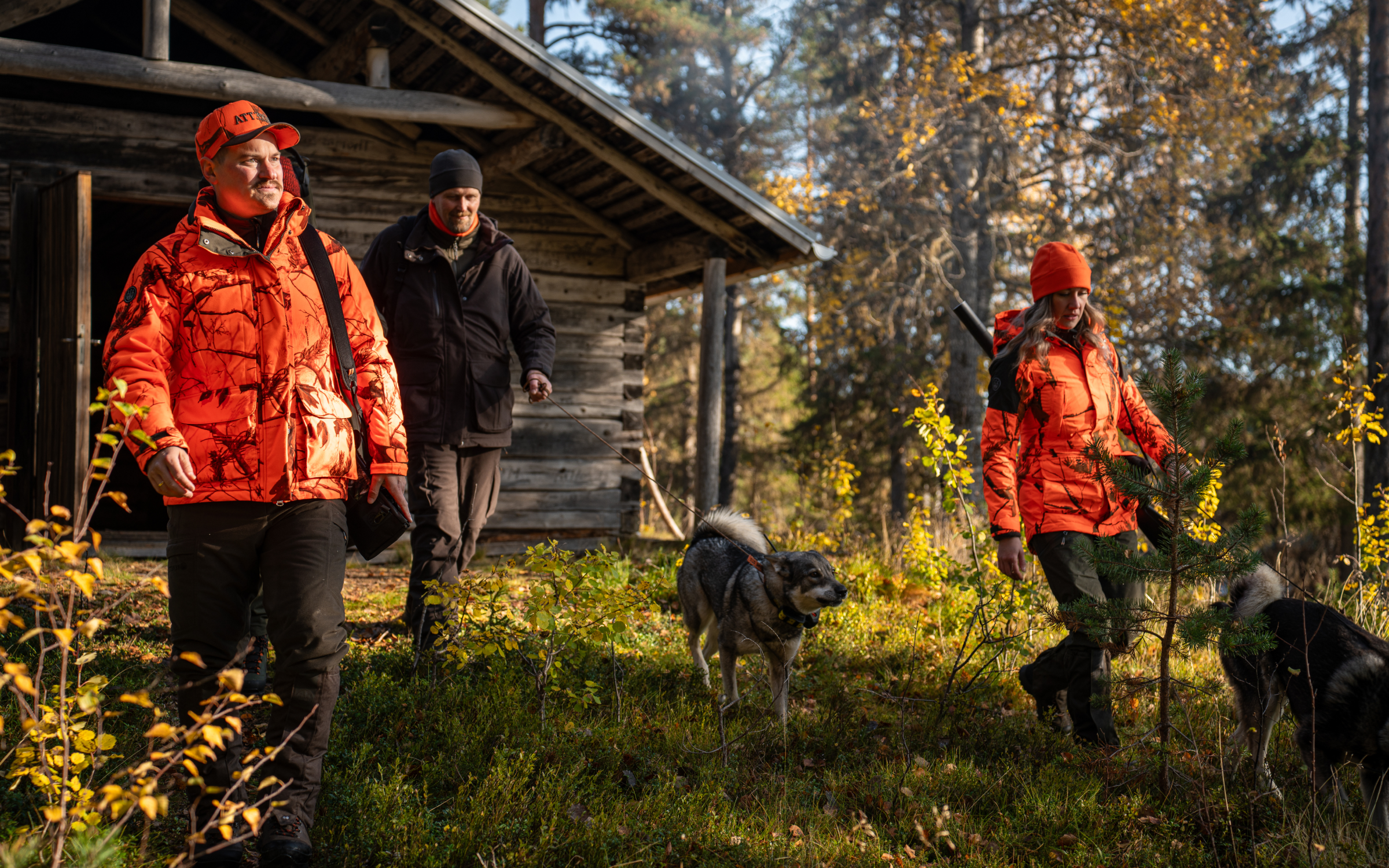 Hundförare med drevhund inför drevjakt