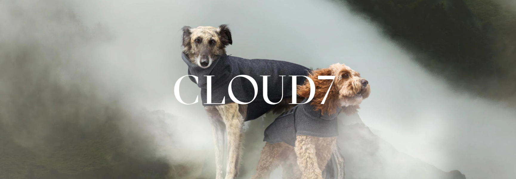 Cloud7
