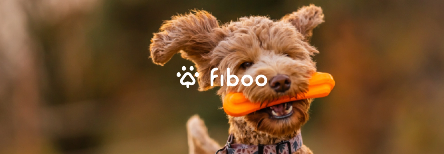 Fiboo