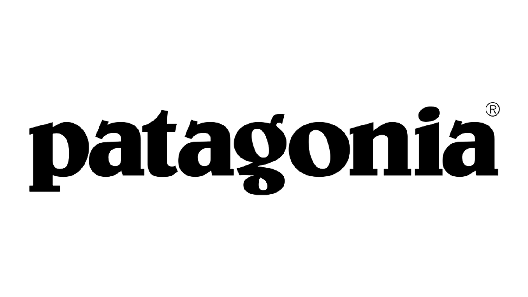 Patagonia logo