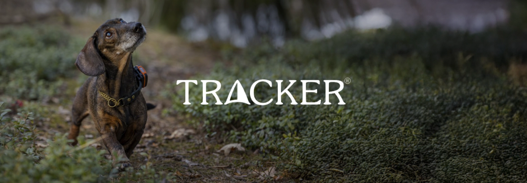 Tracker
