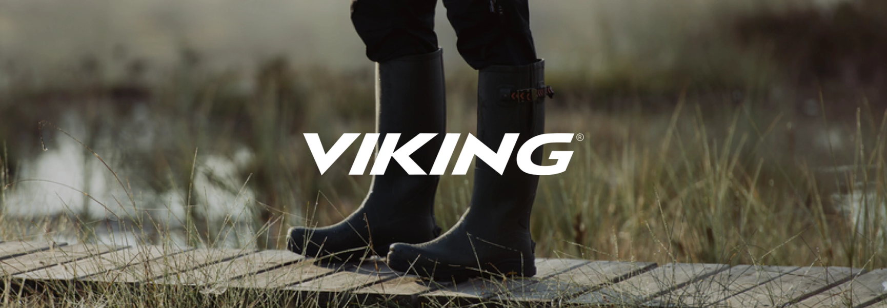 Viking