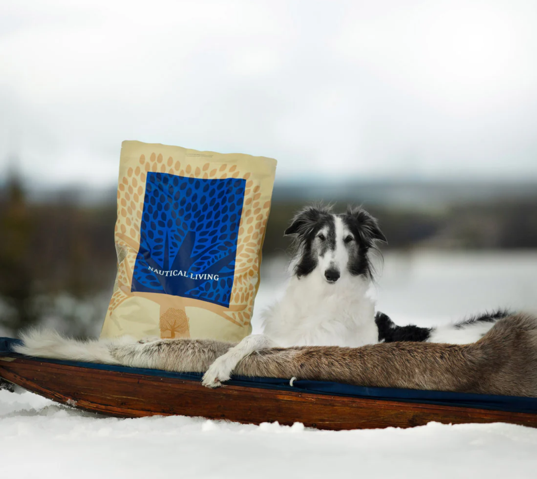 en påse med hundmat bredvid en hund