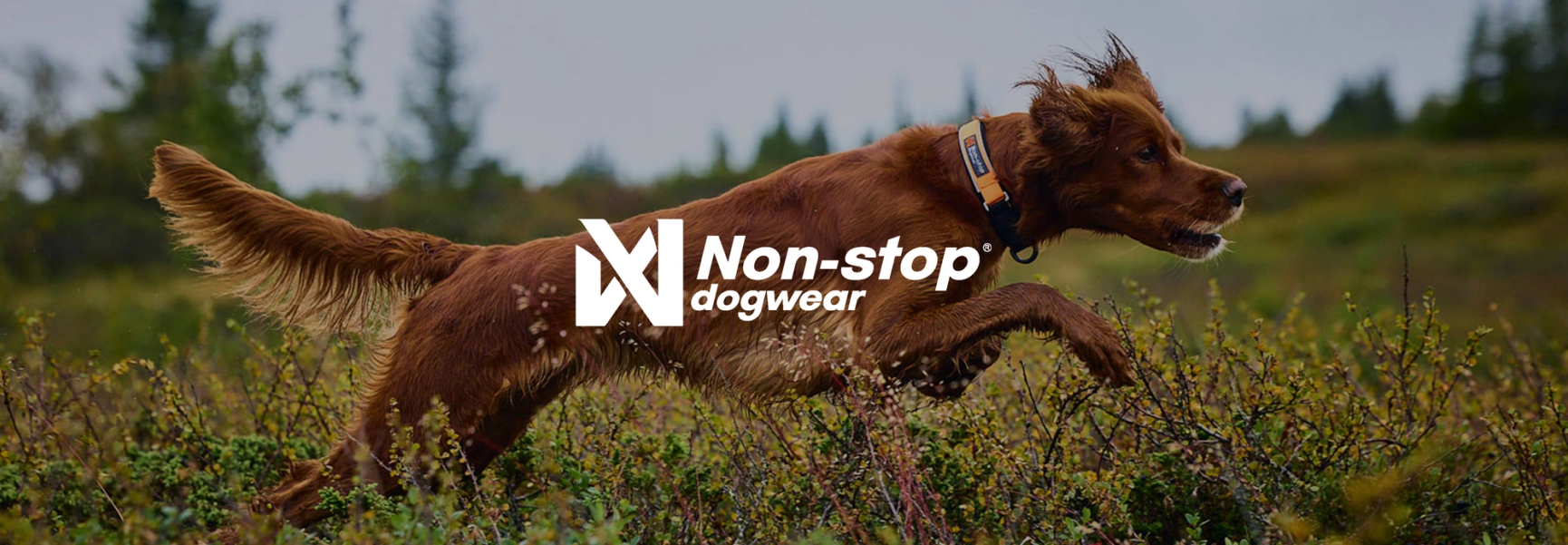Non Stop Dogwear
