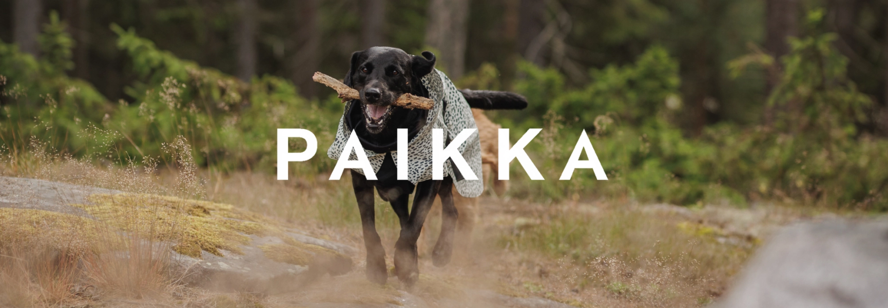 PAIKKA