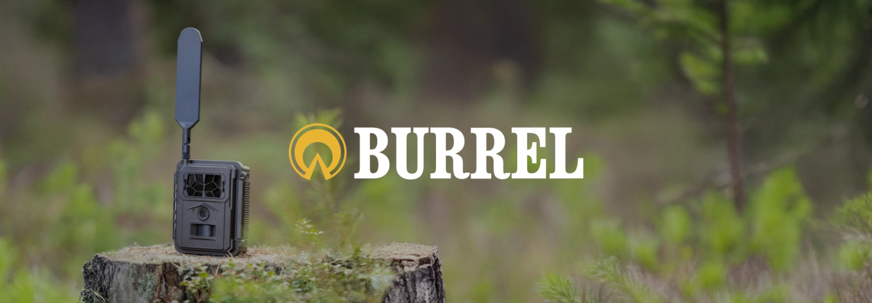 Burrel