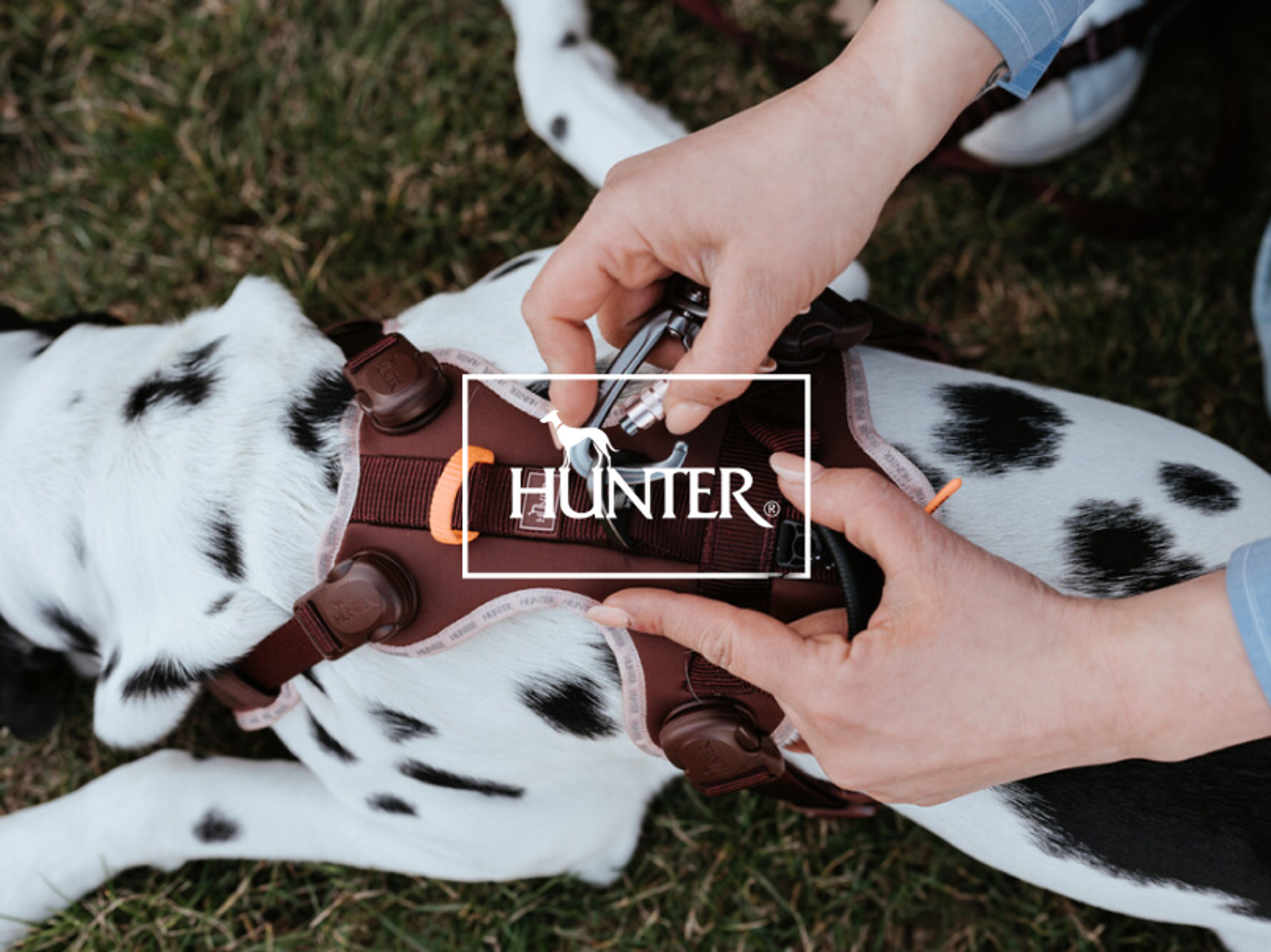 HUNTER