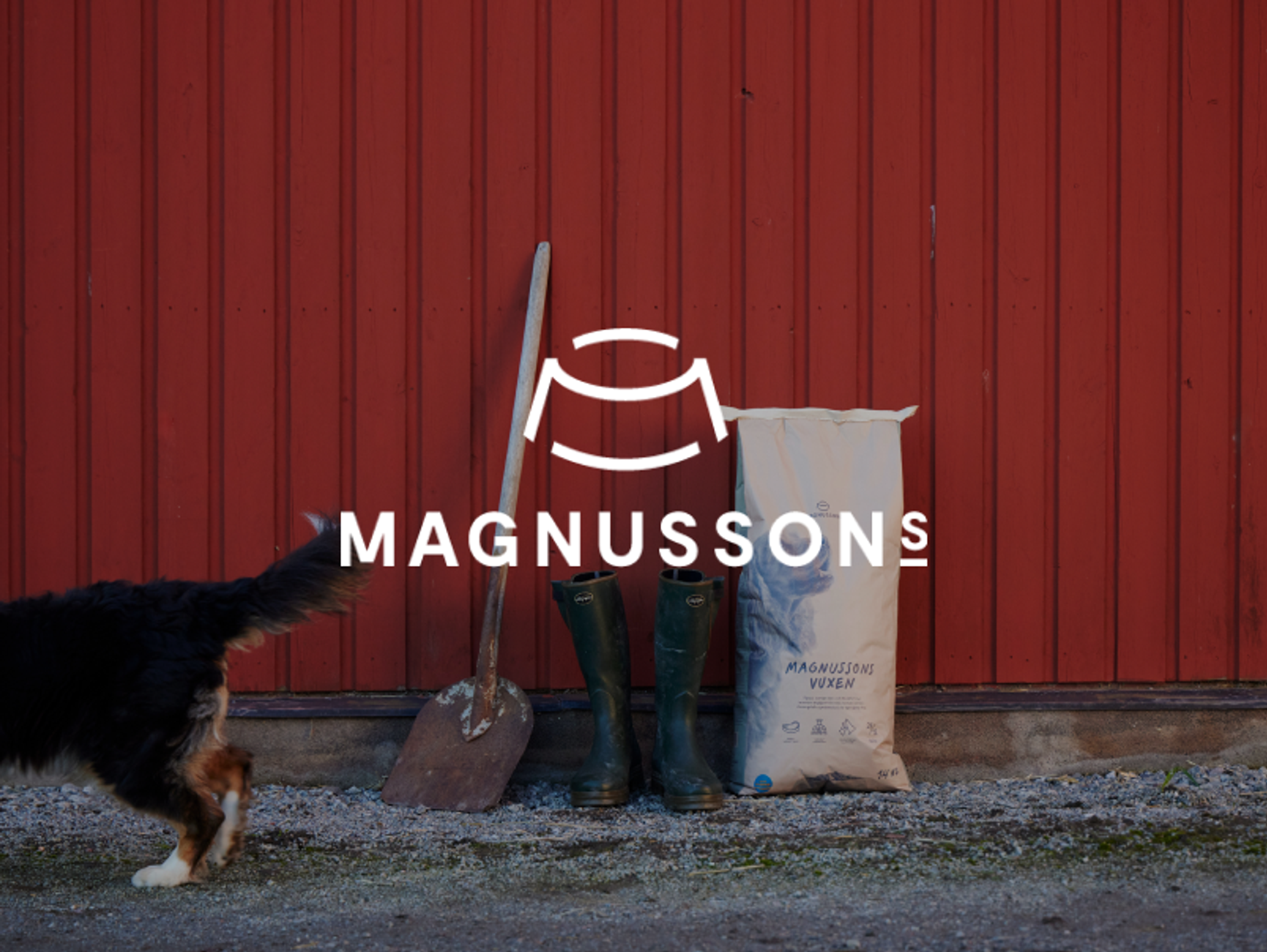 Magnussons