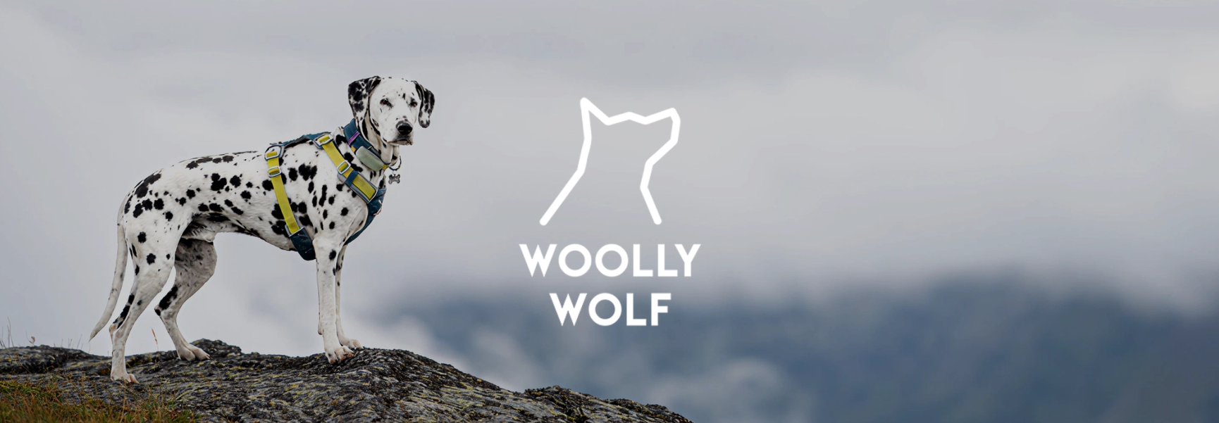 Wooly Wolf
