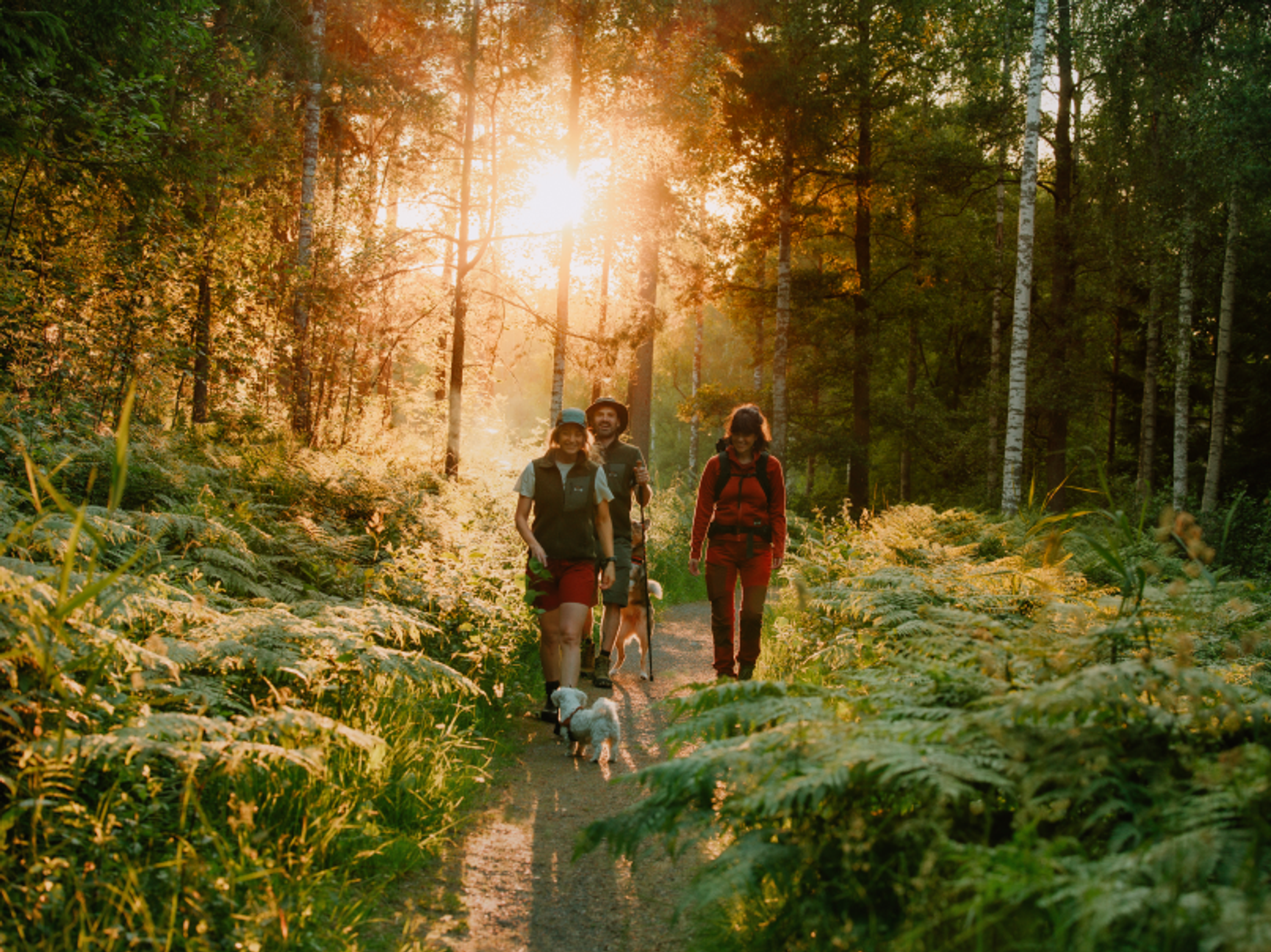 tre personer og en hund på skogstur