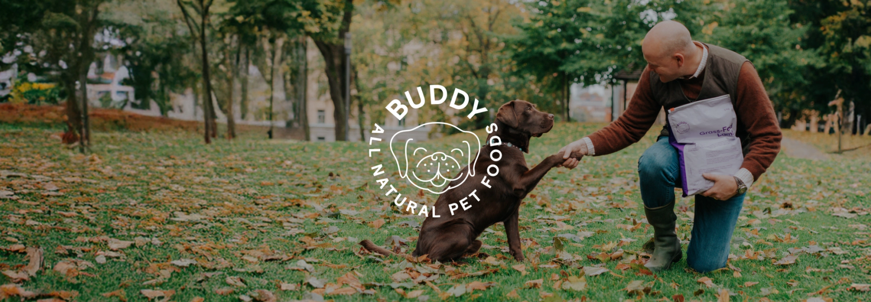 Buddy Hero