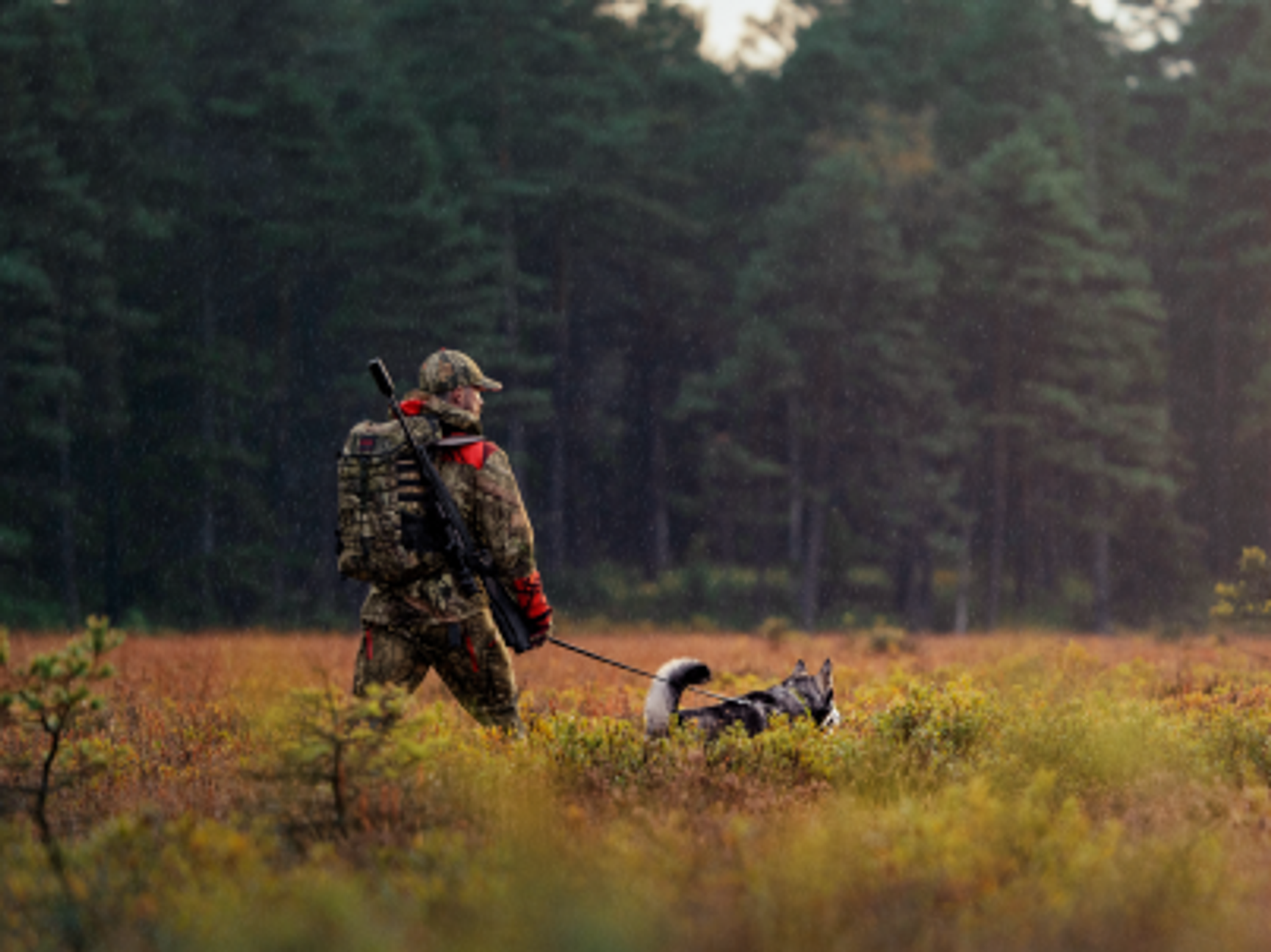 jägare med hund