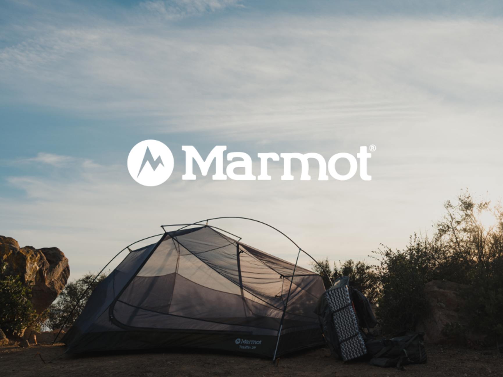 Marmot