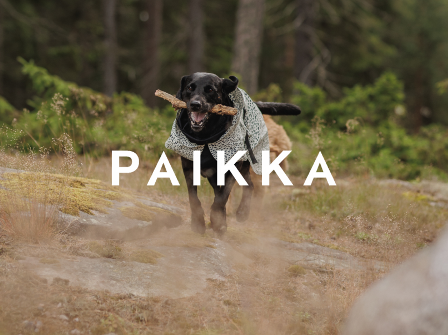 PAIKKA