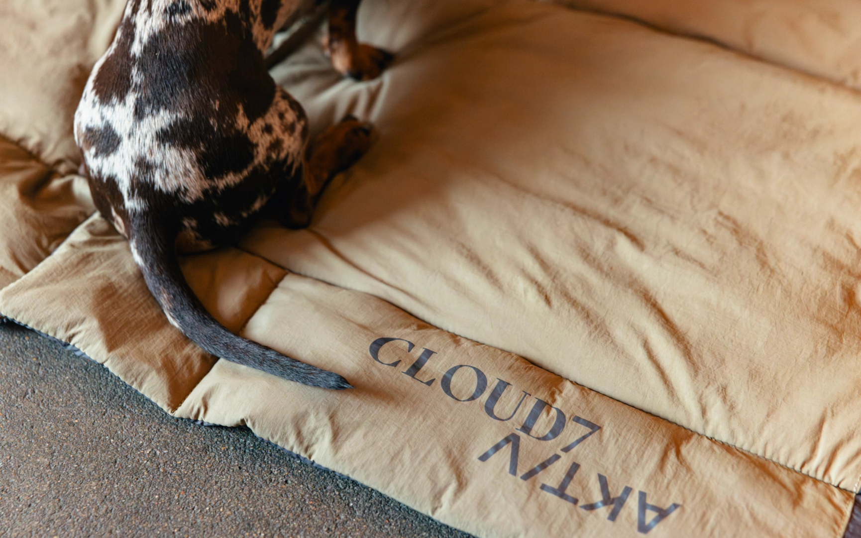 cloud7