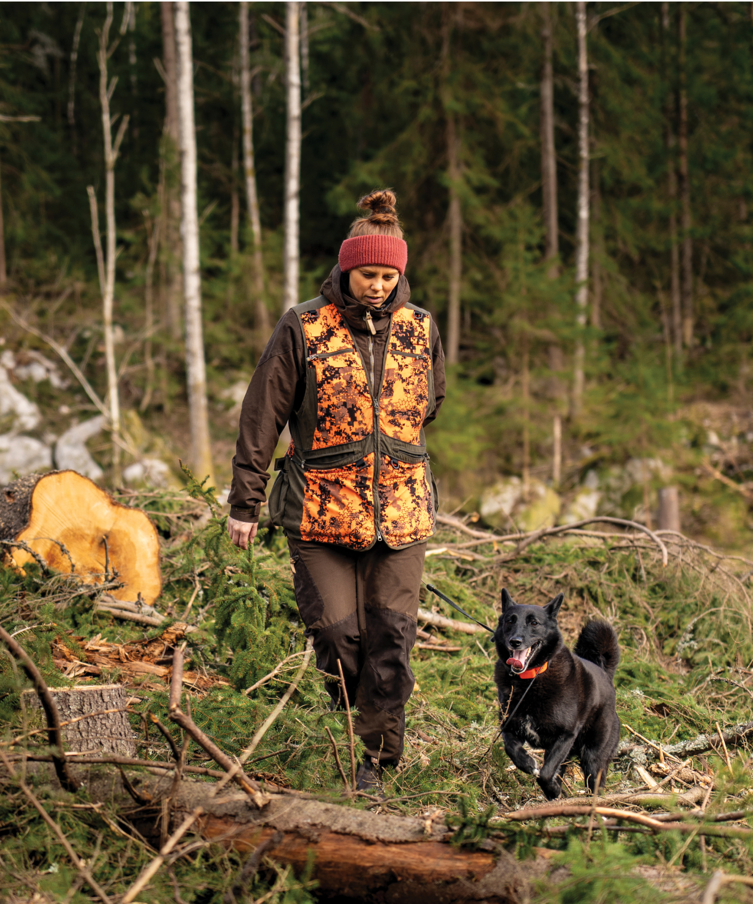 Hund vid älgjakt