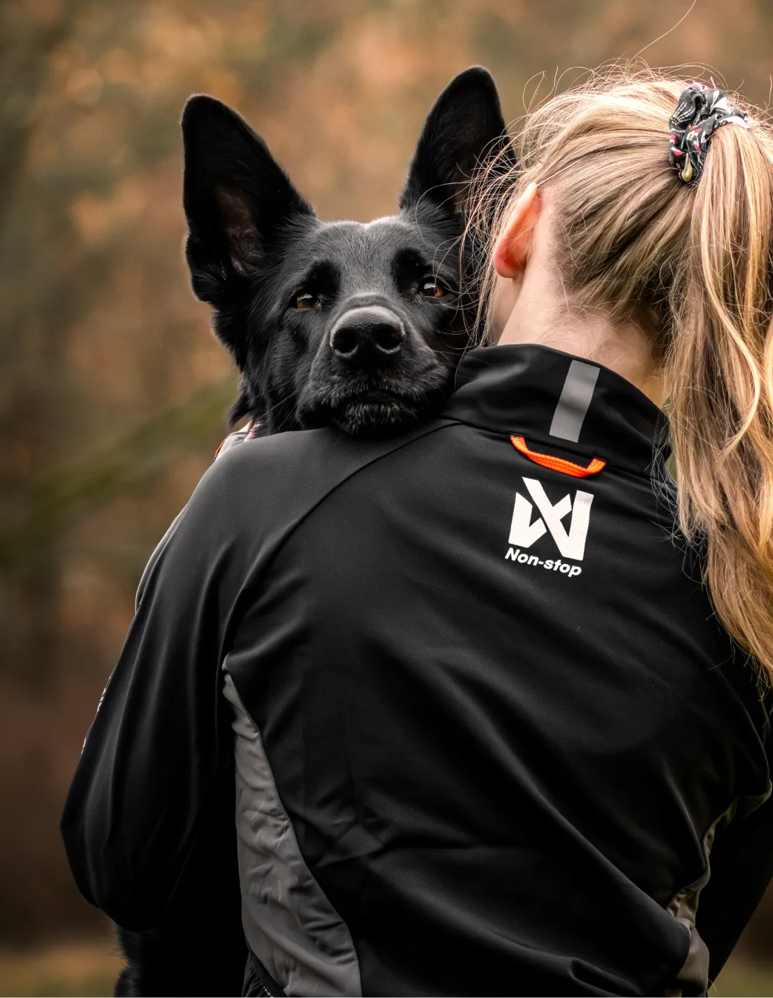 Alt til hunden