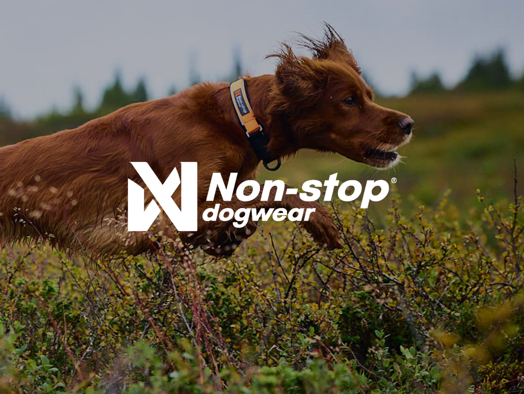 Non-Stop Dogwear