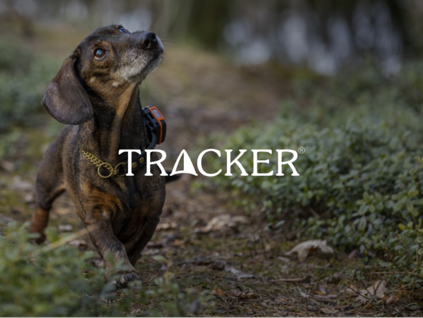 Tracker