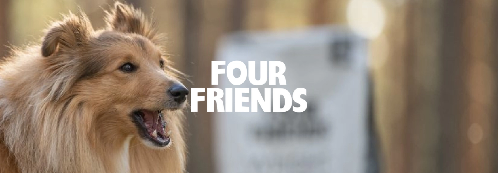 Four Friends
