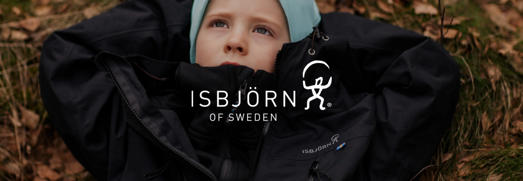 Isbjörn
