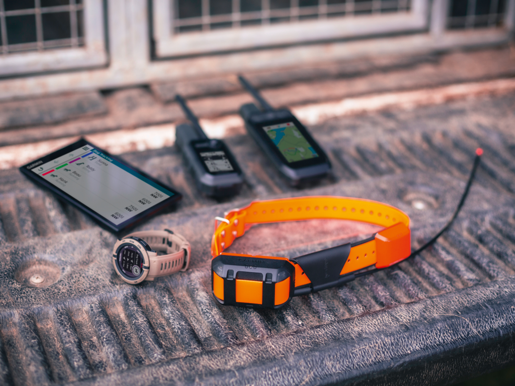 Garmin Alpha system