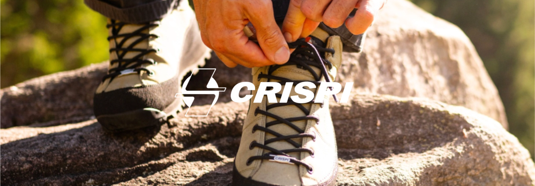 Crispi