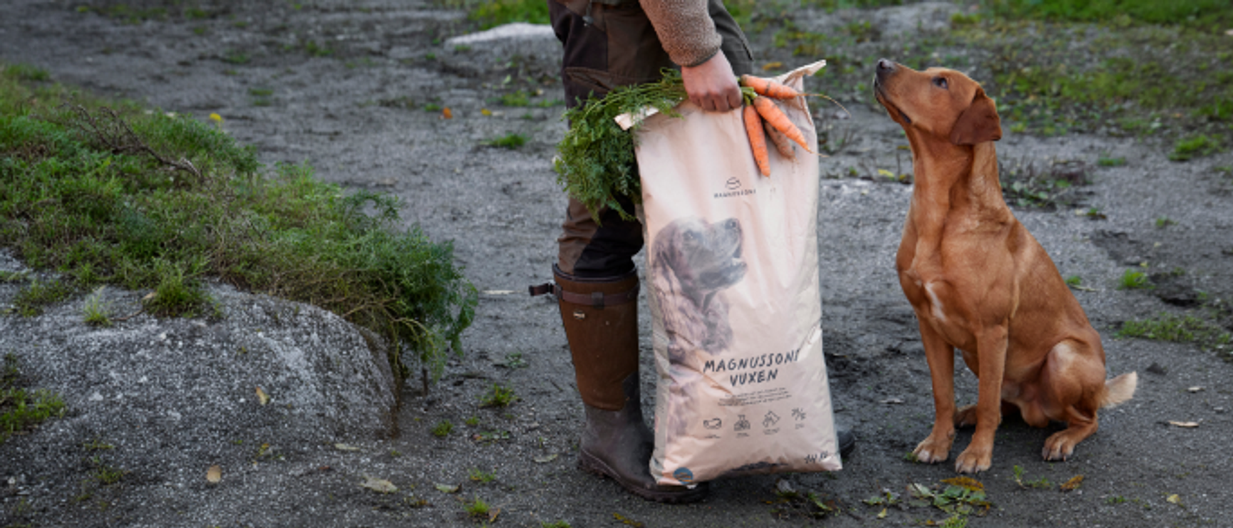 magnusson petfood