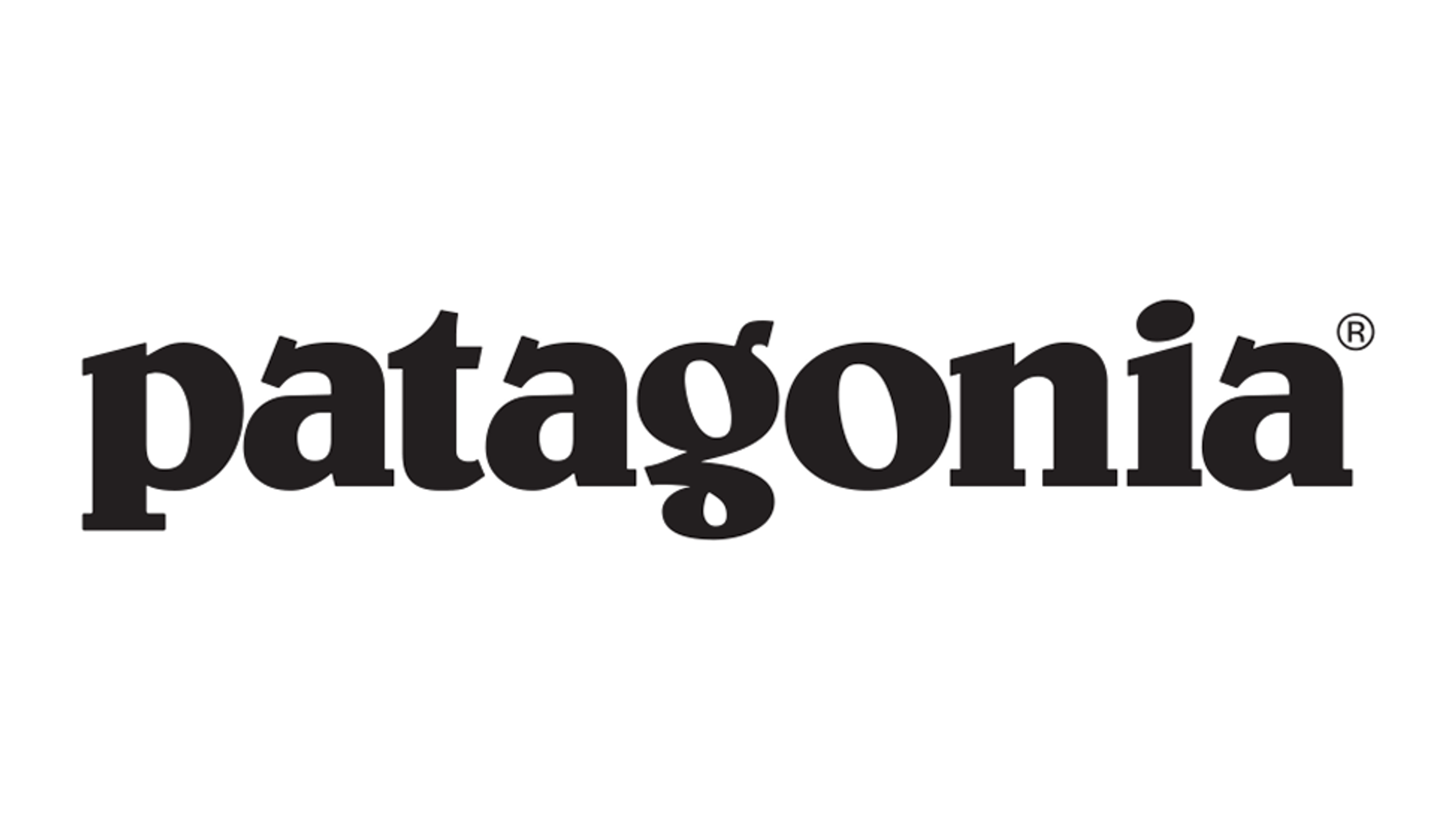 Patagonia logo