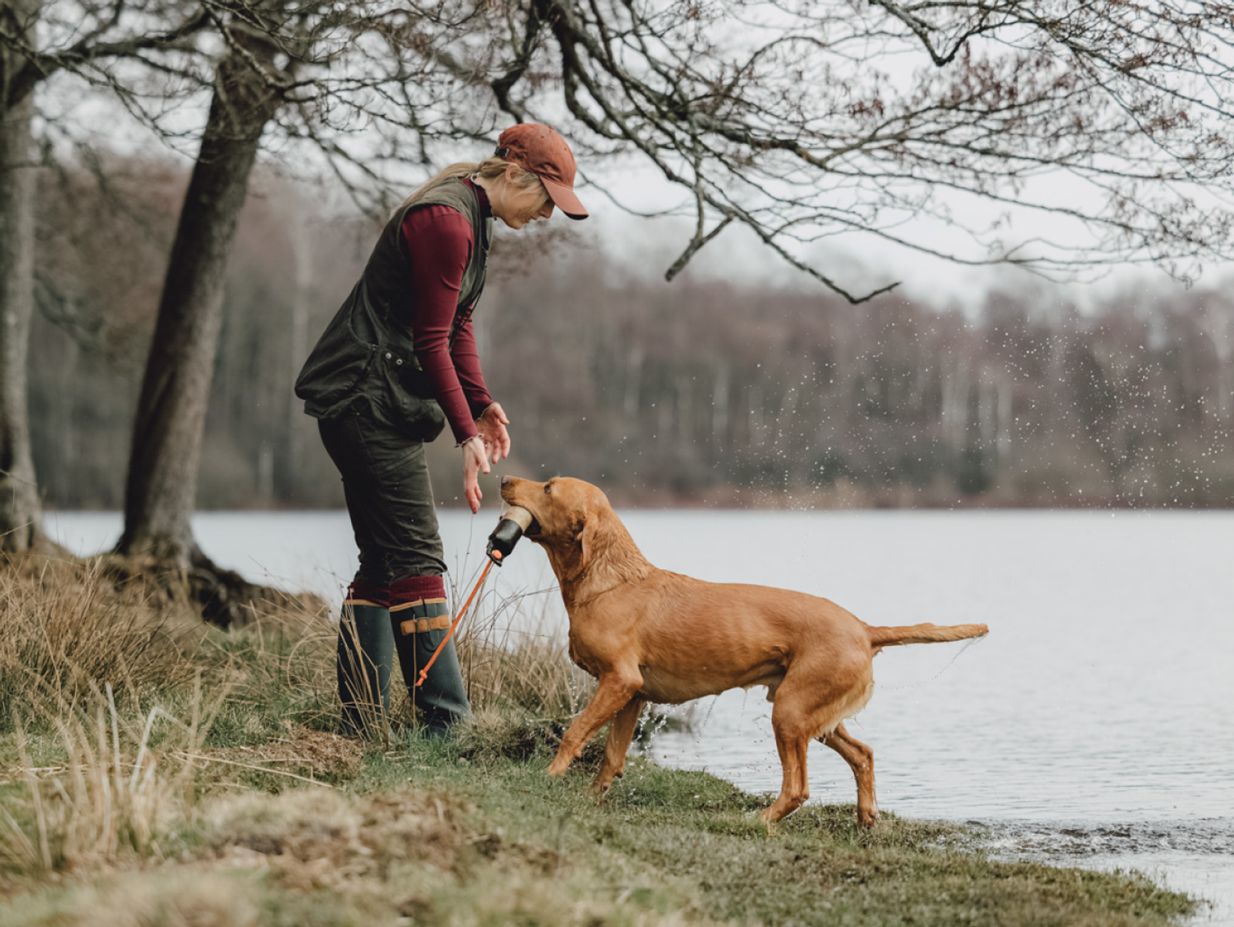 Trening og Lydighet med hund