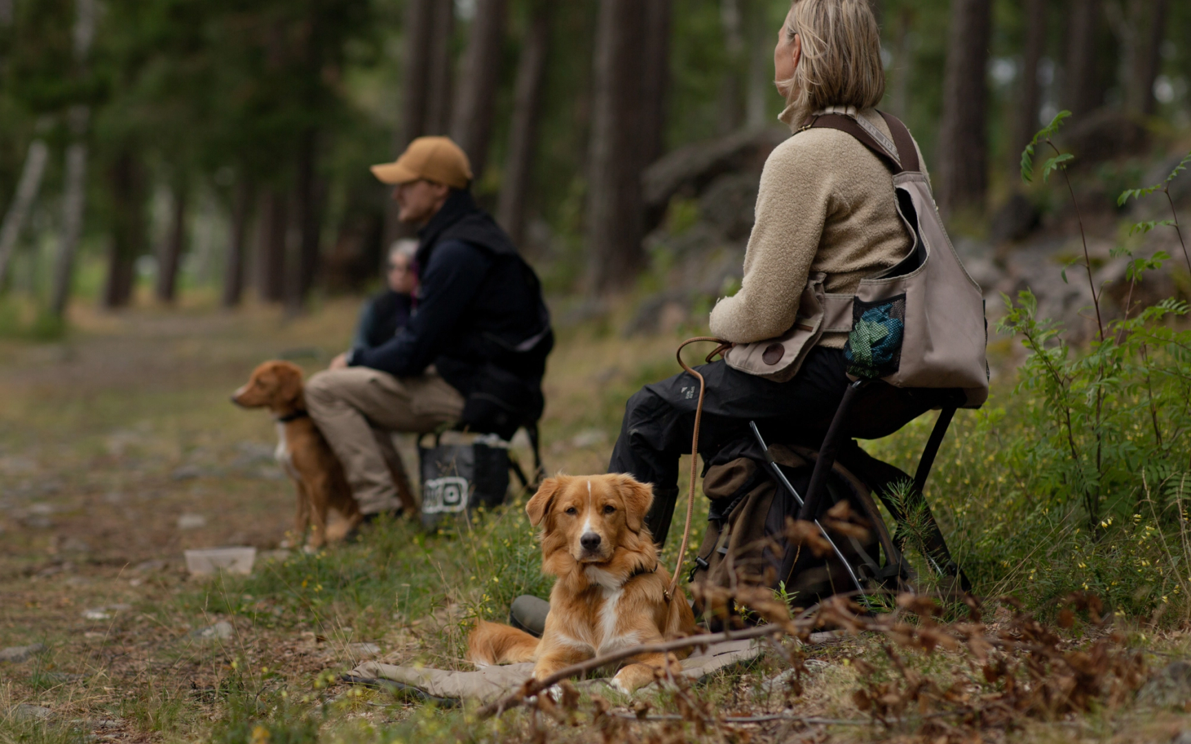 Hund väntar med ägare