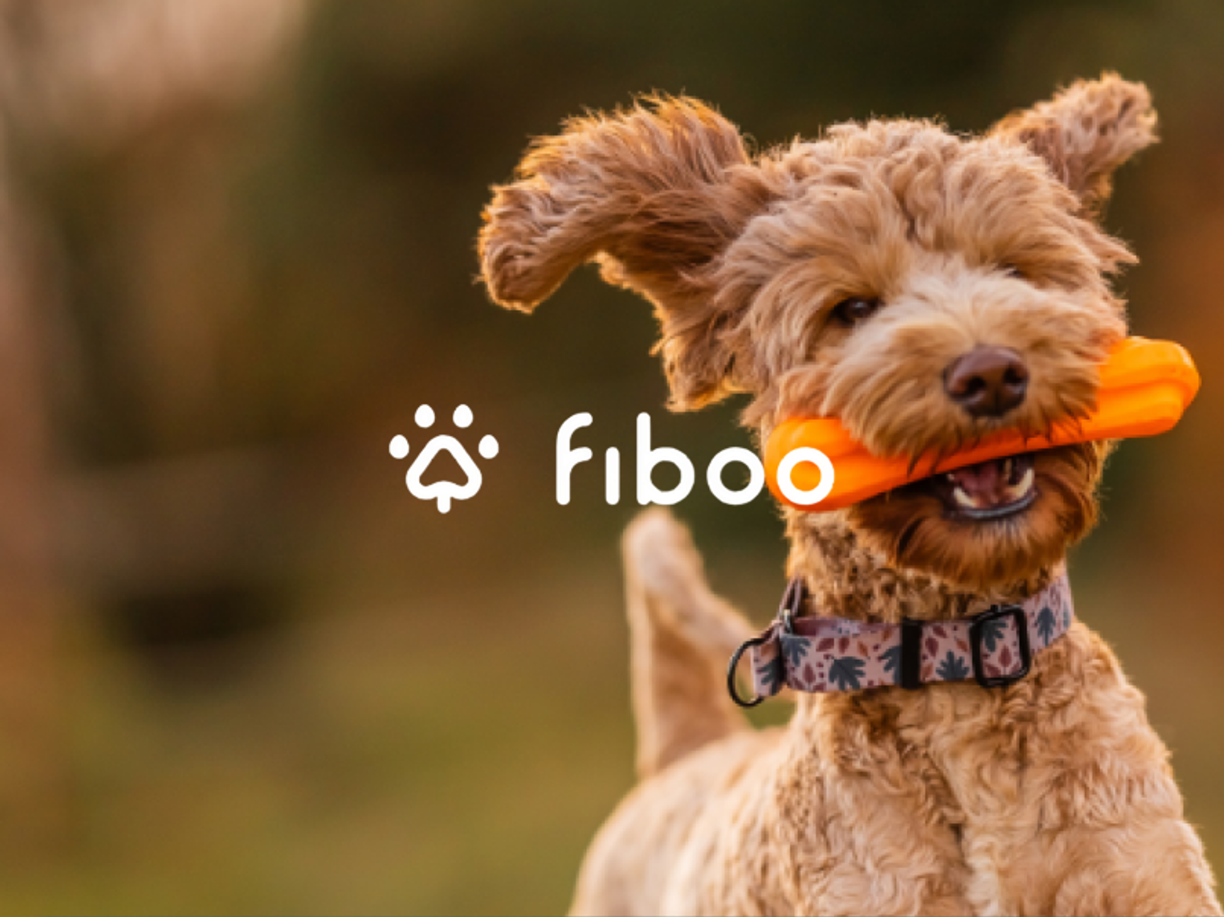 Fiboo