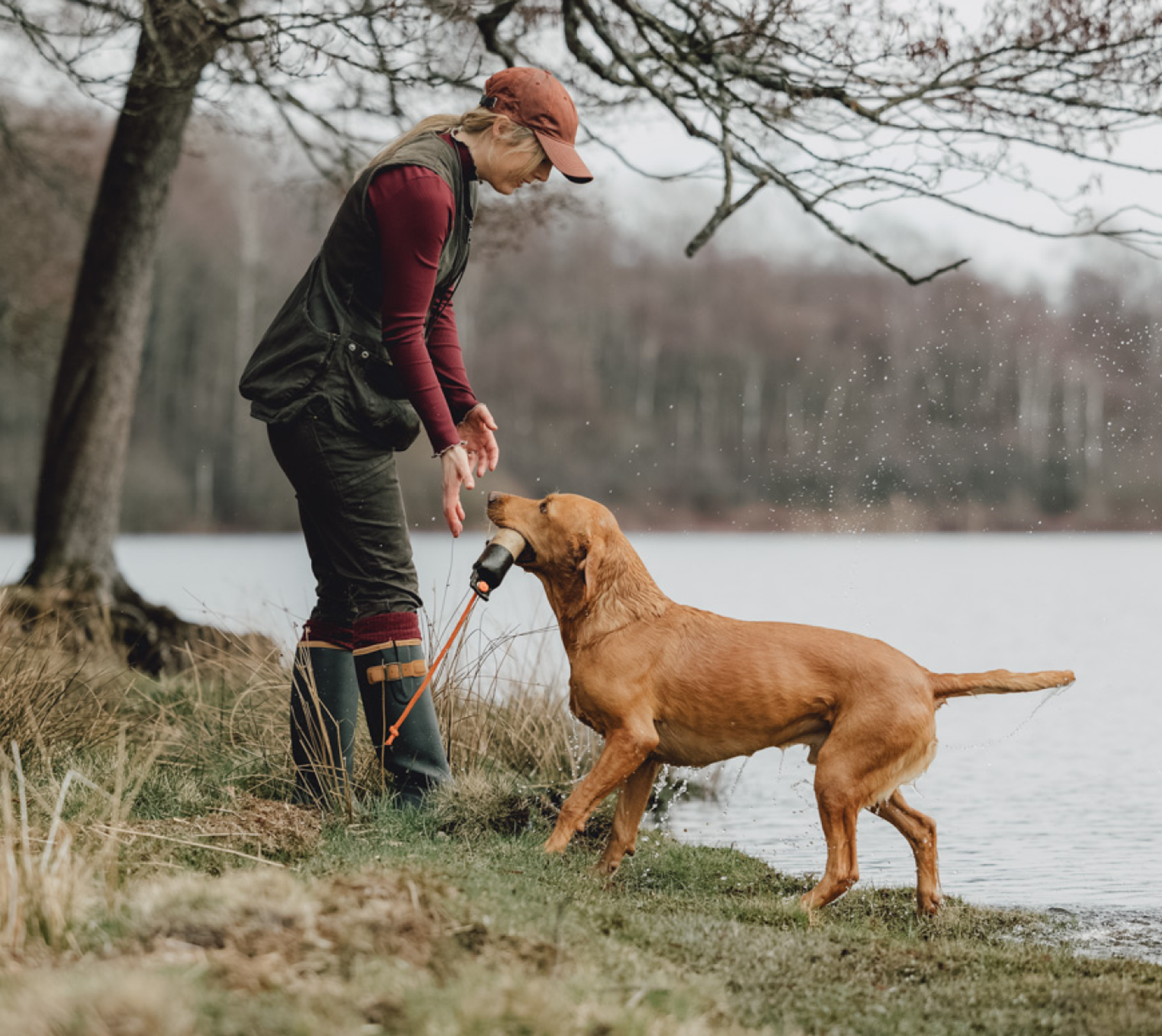 en hund som apporterar en dummie