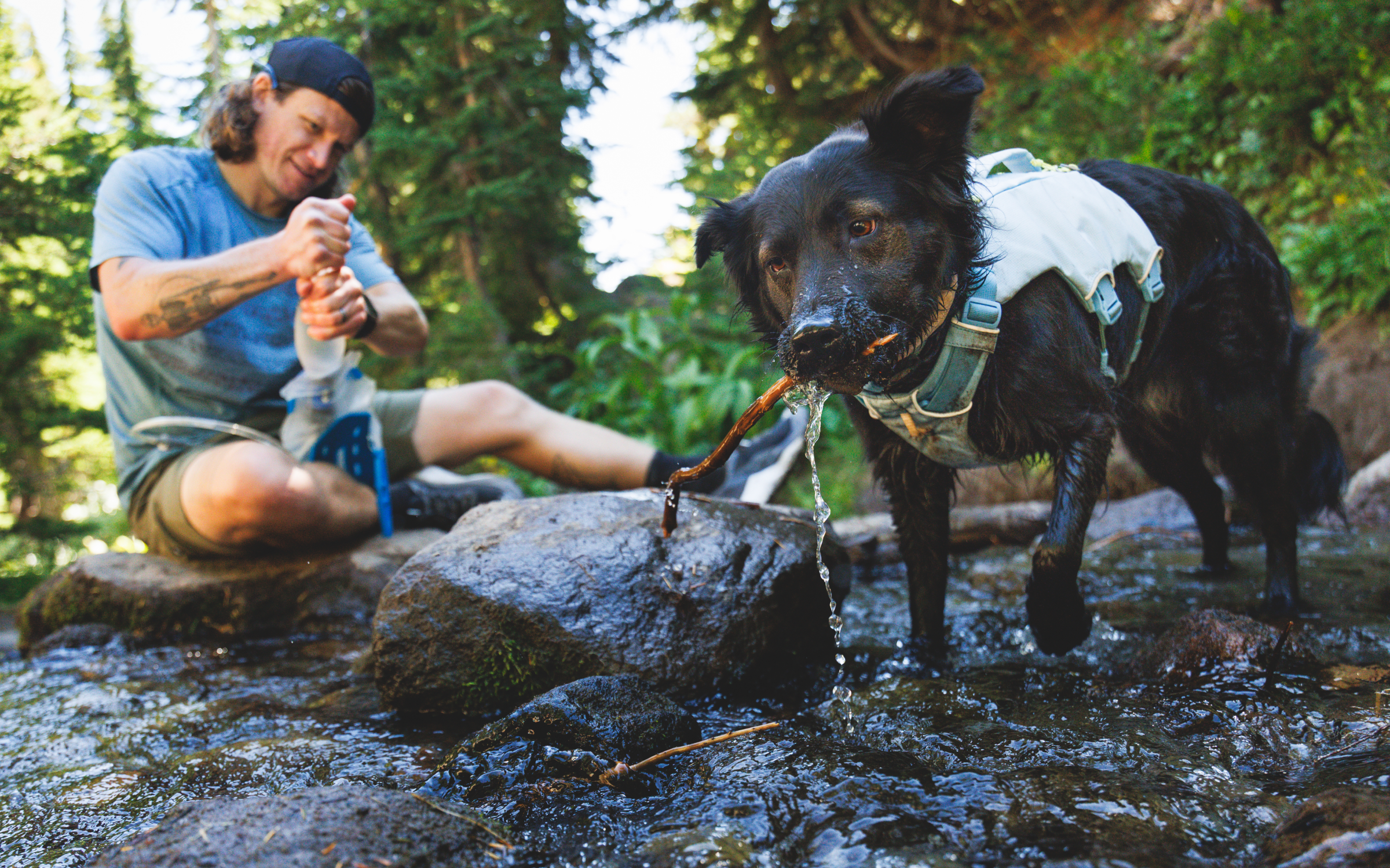 En vandrare ger sin hund vatten vid en bäck i naturen