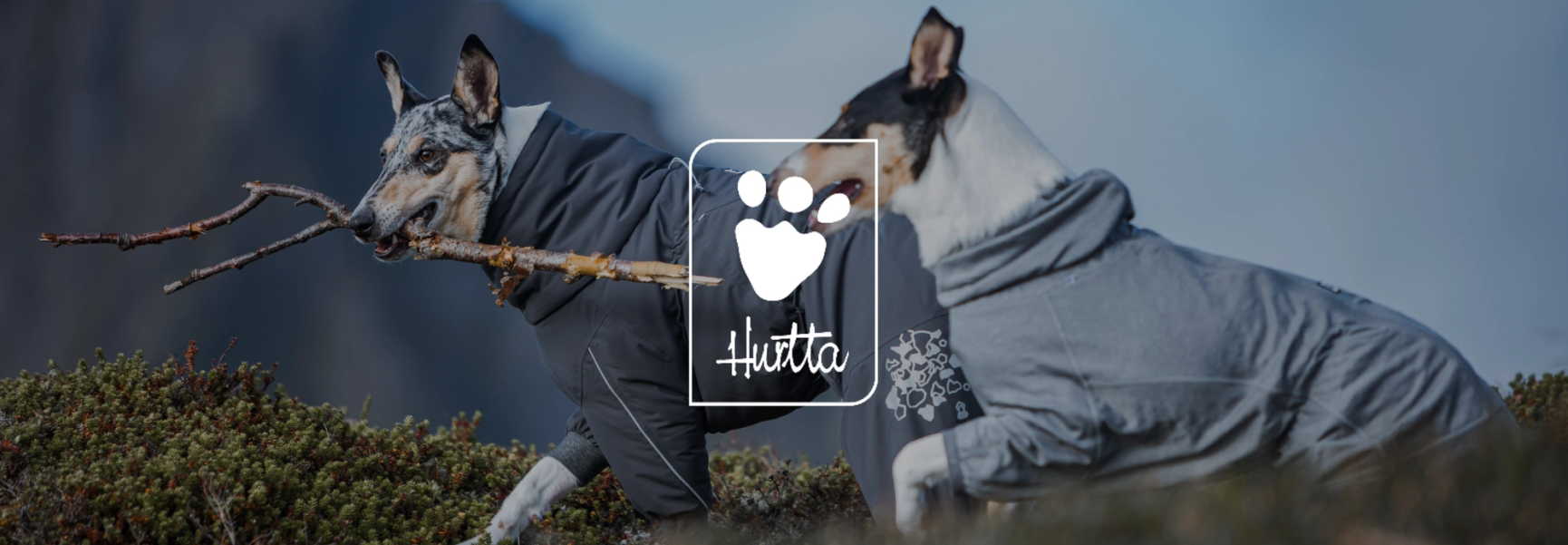 Hurtta