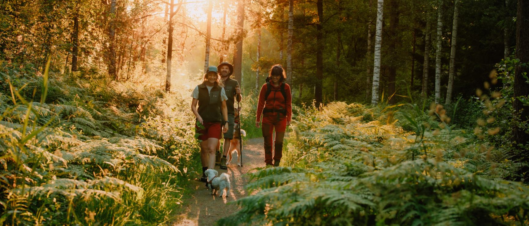 tre personer og en hund på skogstur