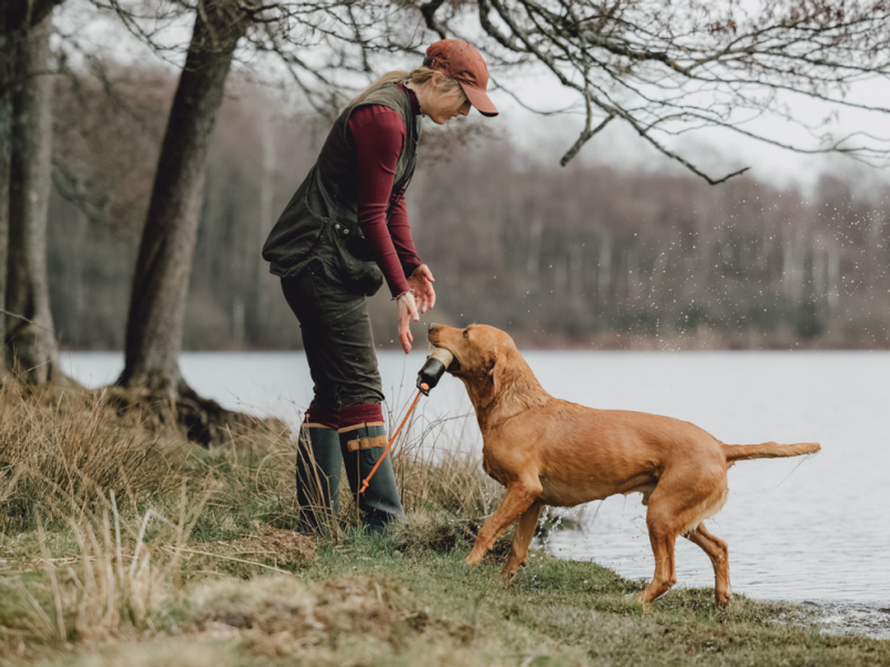 nouto leikki koiran kanssa