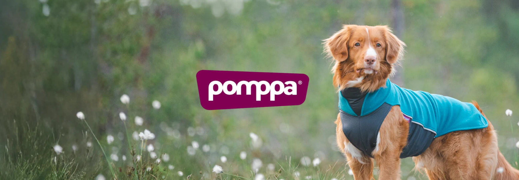 Pomppa