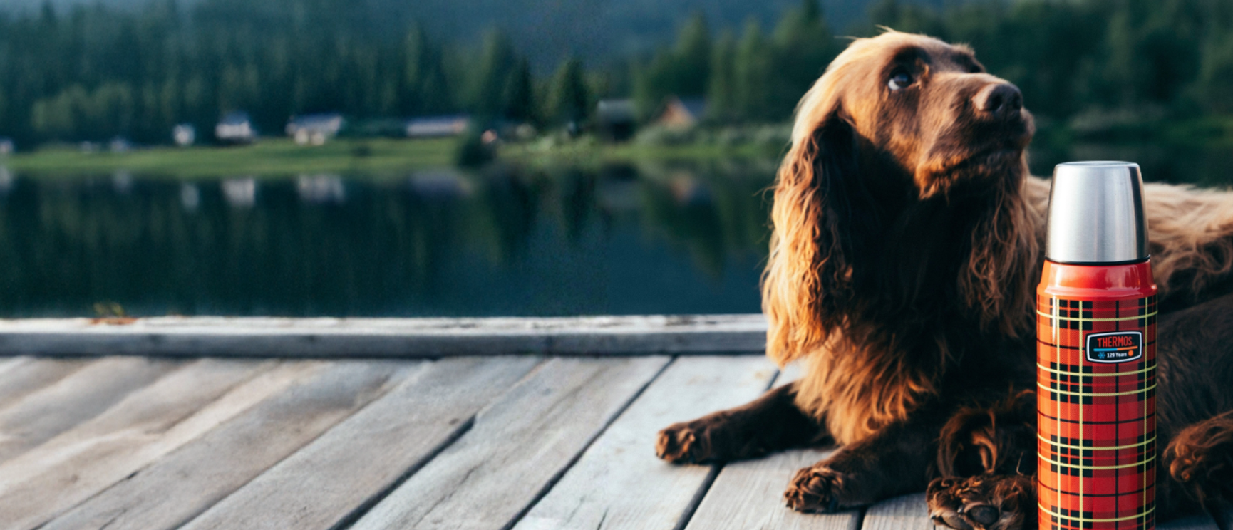 termos och hund på en brygga