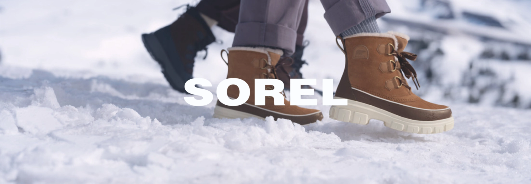 Sorel