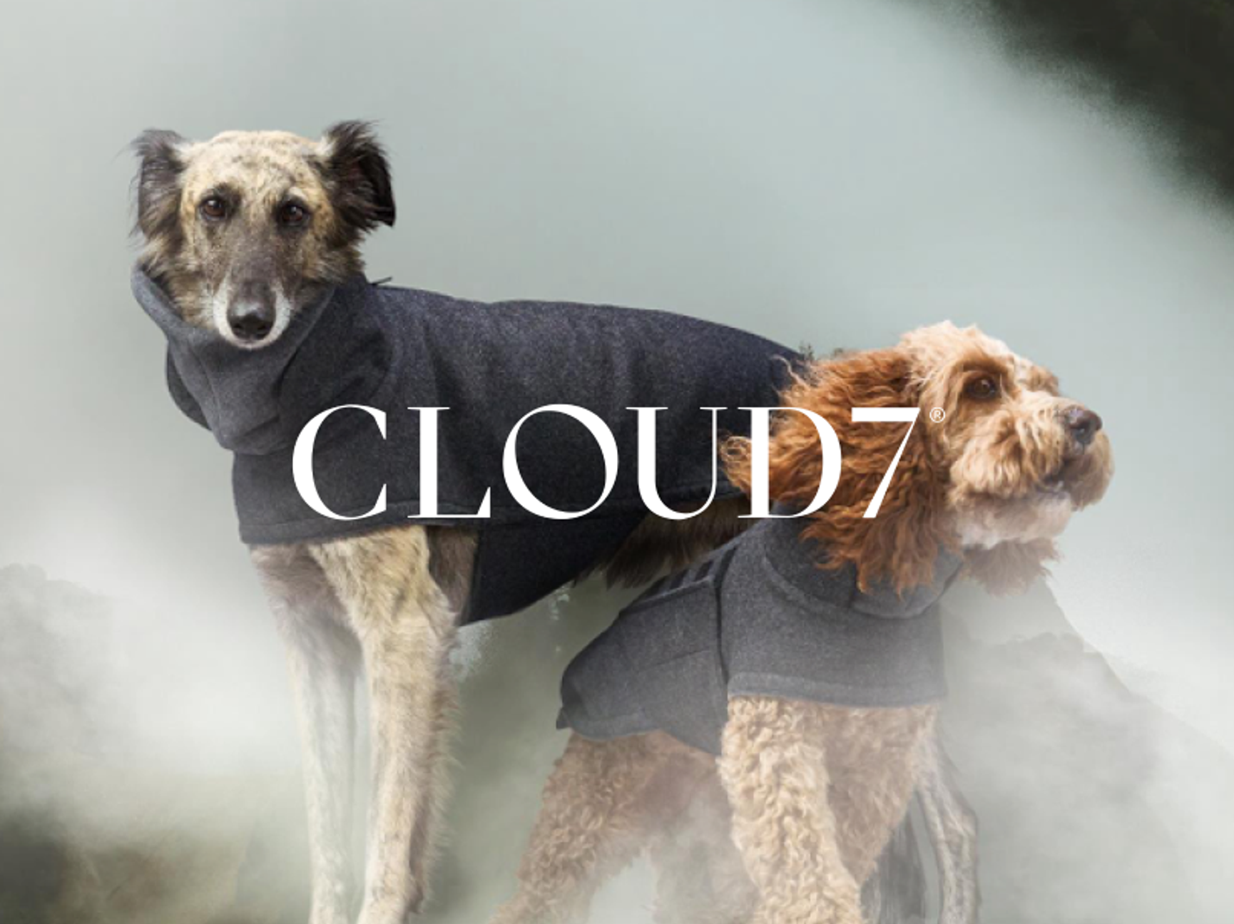 Cloud7