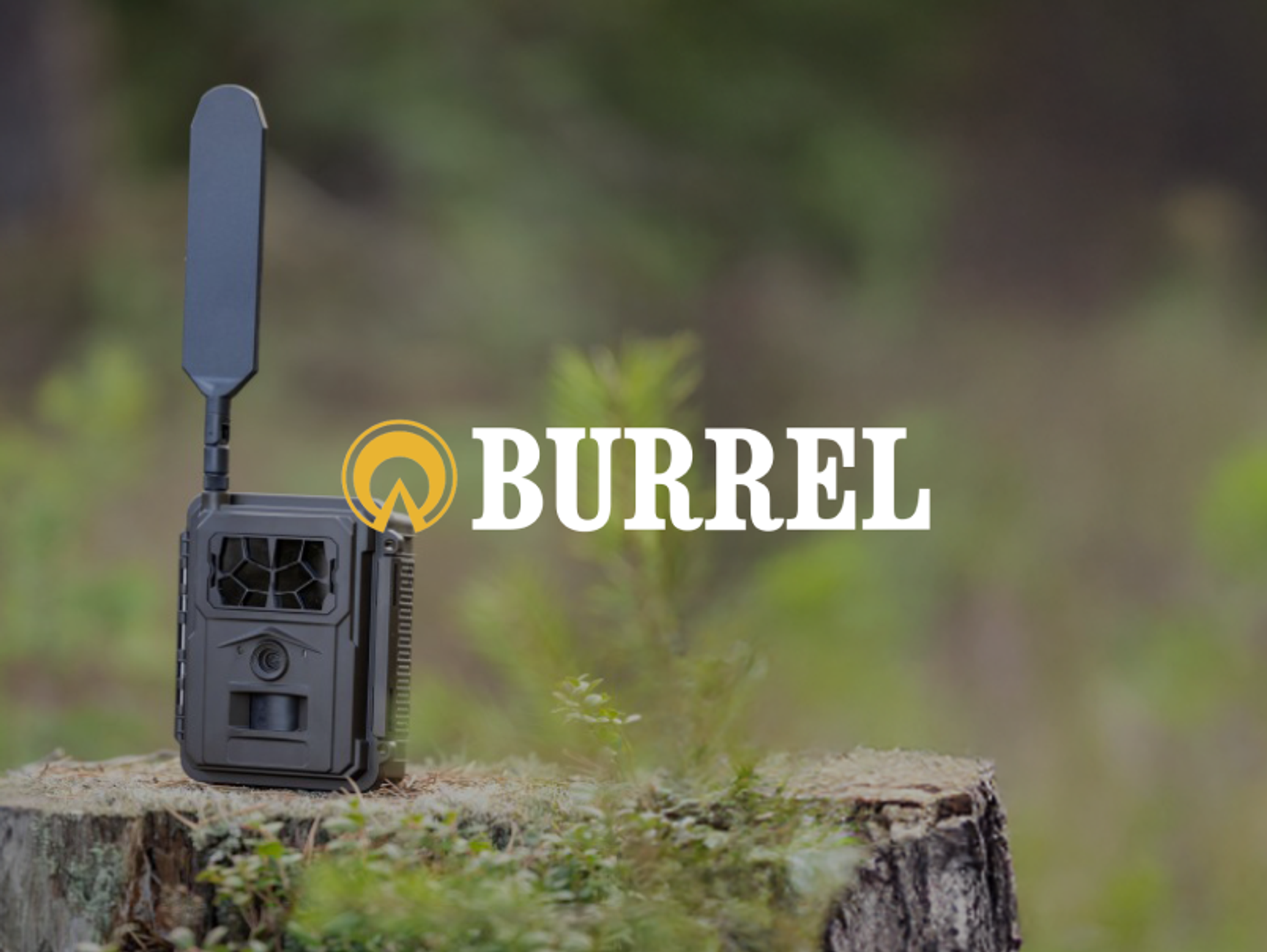 Burrel