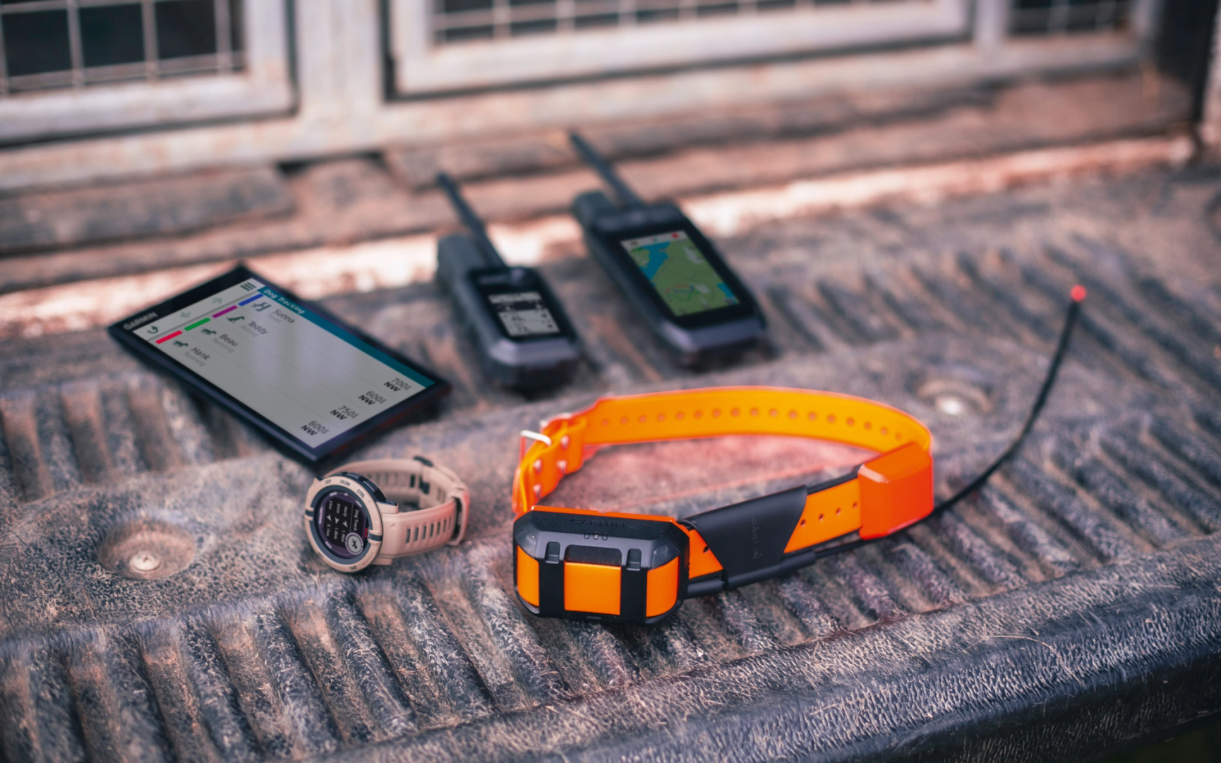 Garmin Alpha system