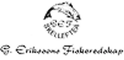 G Eriksson logo