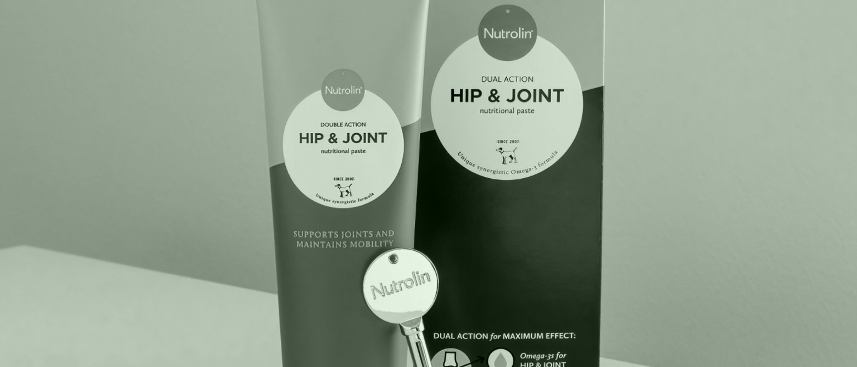 Hip&joint
